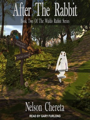 cover image of After the Rabbit
